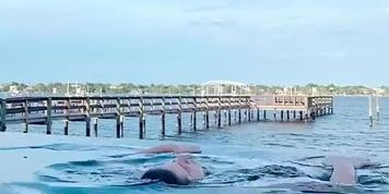 Amanda Cerny Nude Swimming Video Leaked