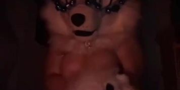 fuck_this19 // IvySzymanski // Nin101.5