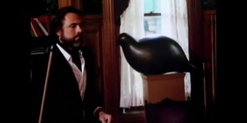 The Unwilling Wife (USA 1982, Annette Haven, Jesie St. James)