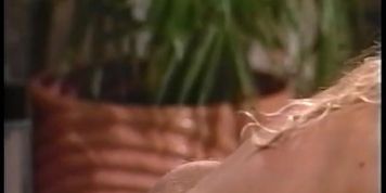 Retro USA 804 90s (Ashlyn Gere, K.C. Williams, Mike Horner, Rod Ryker, Sharon Kane)