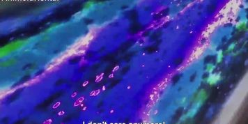 fgdfgfdfdfdfdfdf
