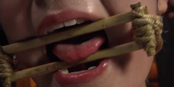 GTJ-048 Rope Bondage, Female Prisoner Te, Anal Te, Sayo Arimoto