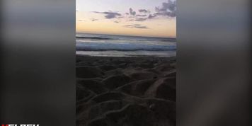 Girl Meet An Unkowing Man On The Beach