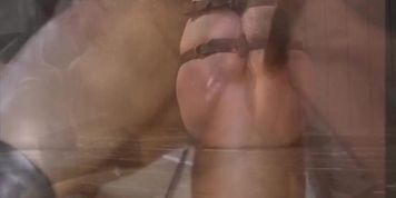 slave training