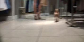 Sexy Shopper Gives Us A Nice View