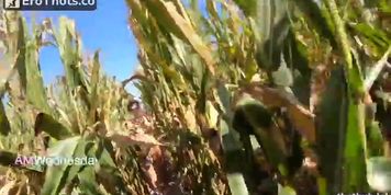 1640469115 Amwednesday walking naked in a field