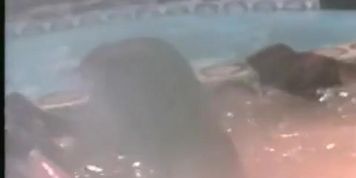 Melissa Williams Breasts Scene  in Between The Lies