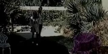 John Holmes Biggest Pornstar (John Stagliano)