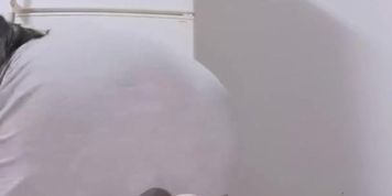 ???????????