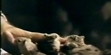 Daniela Poggi Breasts,  Butt Scene  in Gestapo'S Last Orgy