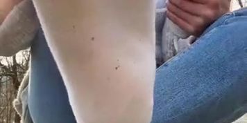 Sweaty Socks joi public on wall