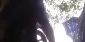 Fuck stop