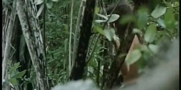Kristina St. Clair Breasts Scene  in Countryman