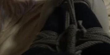 Chinese hogtied