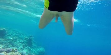 Cock Flash In Red Sea