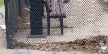 DL Fucking at The Park