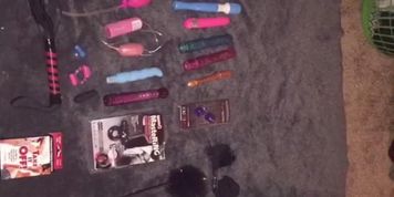 Help me decide how to play, see my toys!