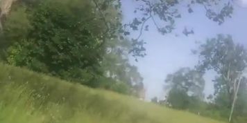 Detroit man pissing in the streets