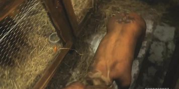 HORRORPORN - Rabbit hutch