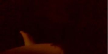 Greek amateur couple homemade videos