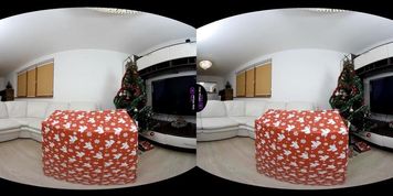 VirtualRealTrans.com - Christmas wish