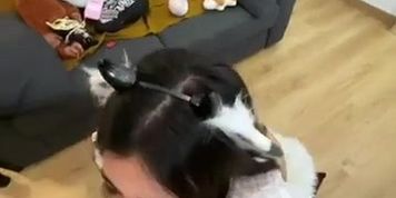 Vivi tarantino