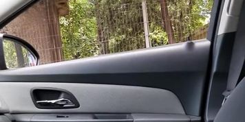Public dick  flash