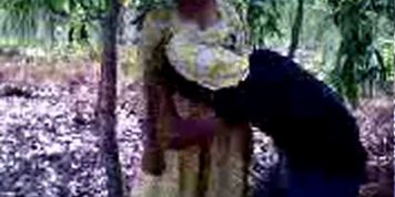 Bangladeshi Forest Fun - video 2