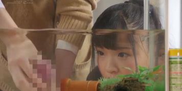 Bat Shit Crazy Japanese Movie.
