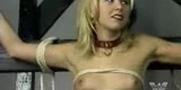 Blondie Bound to the Wheel