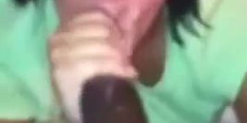 Bunny goes to down on bbc