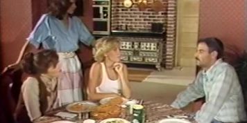 Farmer's Daughters 1986 (Full Movie) (Candie Evans)