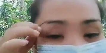 Kebun