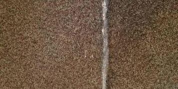 Carpet piss 
