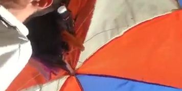 spy upskirt sexy mature woman romanian-pe stop