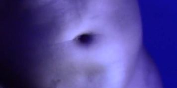 My Big Sexxy Black Cock Pt.3 #Ratemysexxybbc (RateMySexXyBBC RateMySexXyBBC)