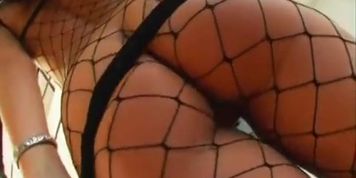 DD honey Laura double drilled and swallows