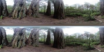 nature 5