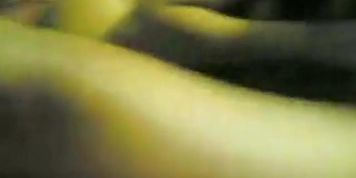 Hgfdjgf