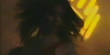 El placer de la venganza 1996