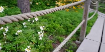 Naughty Girl Pees her Diaper in a Park