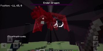 me n my friend defeat the enderdragon in minecraft 