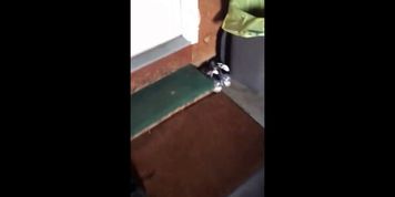 Meeting a random part 1 - video 1