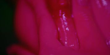 Beautiful Girl Sybil Playing with Her Pussy in This Artistic Solo Video