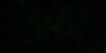 flash5