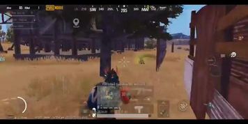 Pubg Gameplay (Jenna Doll, Jenny Doll)