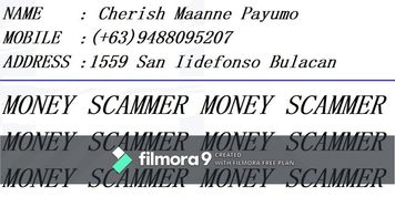Scammer