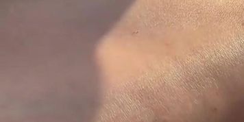 Yang Lagi Viral Di Bulan Desember Full Di Https://linktr.ee/Jajanpsk700