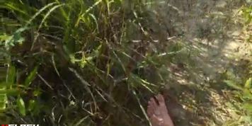 dickflash nude woman on beach