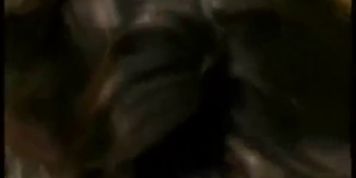 Forced to screw in the woods
